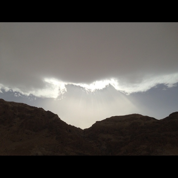 Profile Picture of Beverly Albarracin (@bevalba) on Poshmark