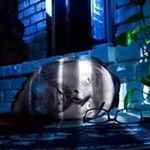 Profile Picture of Carl David Leeth (@jibbymon) on Instagram