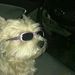 Profile Picture of Youvelina Limage (@youvelina) on Pinterest