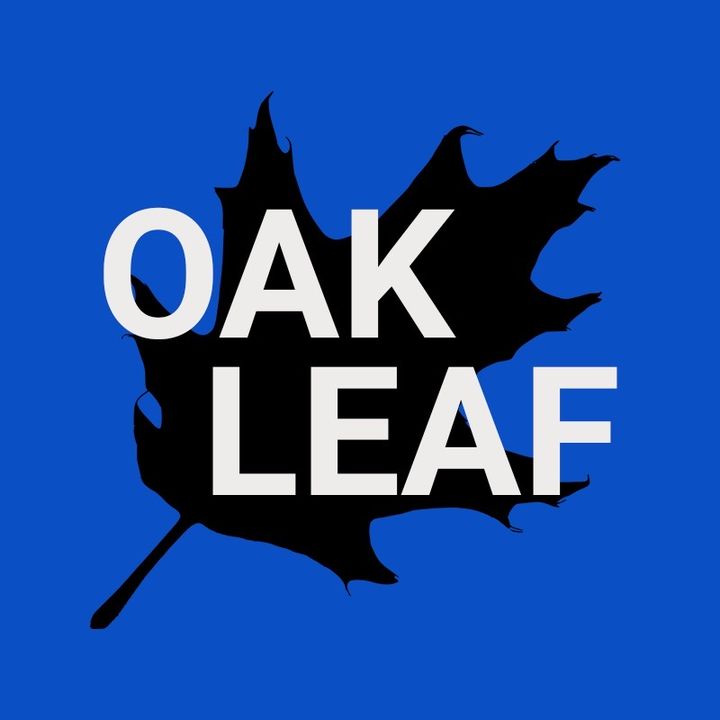 Profile Picture of Oakleaf (@@oakleafwiffle) on Tiktok