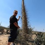 Profile Picture of Brian Fasteddie Eliasson (@brianeliasson) on Instagram