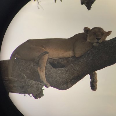 Profile Picture of Javier Hernando De L (@FcoJavierHerna5) on Twitter