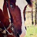 Profile Picture of Cindy Fasano (@cindyfasano) on Instagram