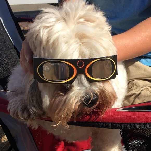 Profile Picture of Rocco Ronzone (@roccoronzone) on Poshmark