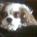 Profile Picture of Dawn Browne (@dawn.browne.982) on Facebook