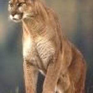 Profile Picture of Jawad Haider (@302792065) on Myspace