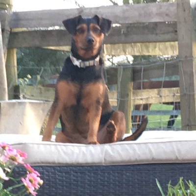 Profile Picture of Sprout (@osborne_simon12) on Twitter