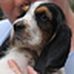 Profile Picture of Richard Gray (@richard570) on Flickr