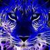 Profile Picture of Brent Barclay (@brent.barclay.5) on Facebook