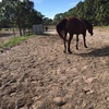 Profile Picture of cassie.capps026 (@@isabelle055742) on Tiktok
