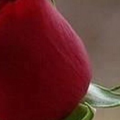 Profile Picture of Carly Mclean (@carlymclean2687) on Twitter