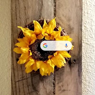 Profile Picture of CindyMaxey (@CindyMaxey5) on Twitter