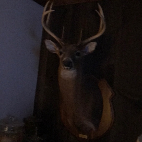 Profile Picture of Darrell Cayton (@dbcayton) on Poshmark