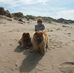 Profile Picture of Vicki Pullen (@vicki.pullen.1420) on Facebook