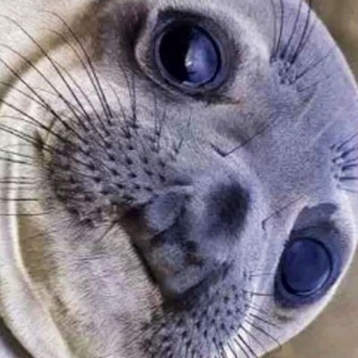 Profile Picture of Matt McGrail (@Mattmac1999Matt) on Twitter