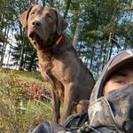 Maddie McAdoo - Instagram Profile Picture of Maddie McAdoo (@drc396_) on Instagram