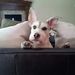 Profile Picture of Shannah McGee (@shannahmcgee) on Pinterest
