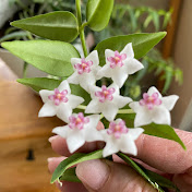 Profile Picture of Rose Chaney (@rosechaney2455) on Youtube