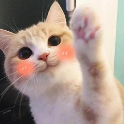 Profile Picture of Elizabeth Hinds (@Elizabe96186525) on Twitter