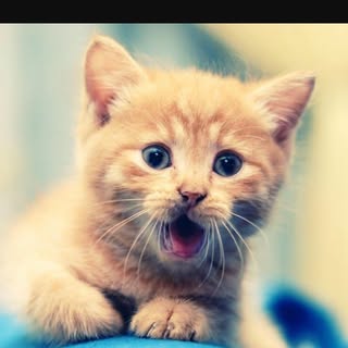 Profile Picture of shawn_nulph (@shawn_nulph) on Instagram