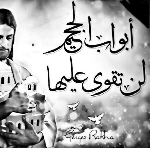 Profile Picture of Berber Gogo (@berbergogo) on Poshmark