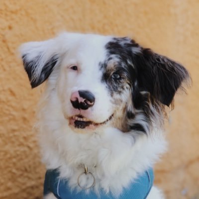 Profile Picture of Miranda Álvarez (@miranda_alvarez) on Twitter