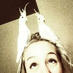 Profile Picture of Tosha Kelly, PhD (@atawsh) on Instagram