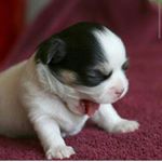 robin_Mylani - Instagram Profile Picture of robin_Mylani (@robin_mylani) on Instagram