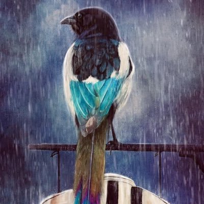 MagpieLad. - Twitter Profile Picture of MagpieLad. (@IanPercyLewis) on Twitter