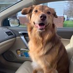 Profile Picture of Brian K. Morrow (@brian_k_morrow) on Instagram