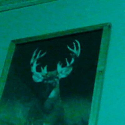 Profile Picture of Joe Drane (@draneo12345) on Twitter