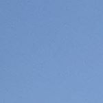 Profile Picture of Raylene Scott (@prmscott67) on Instagram