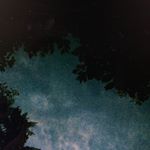 Profile Picture of Skye Manning (@manningskye) on Instagram