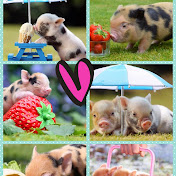 Profile Picture of Lucy Hanson (@lucyhanson9929) on Youtube