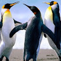 Profile Picture of James Gillick (@james-gillick-4) on Quora