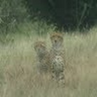 Profile Picture of Jeff Borns (@jeff-borns) on Quora