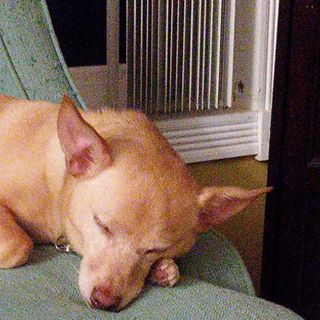 Profile Picture of Steve Nestler (@steve.nestler.58) on Facebook