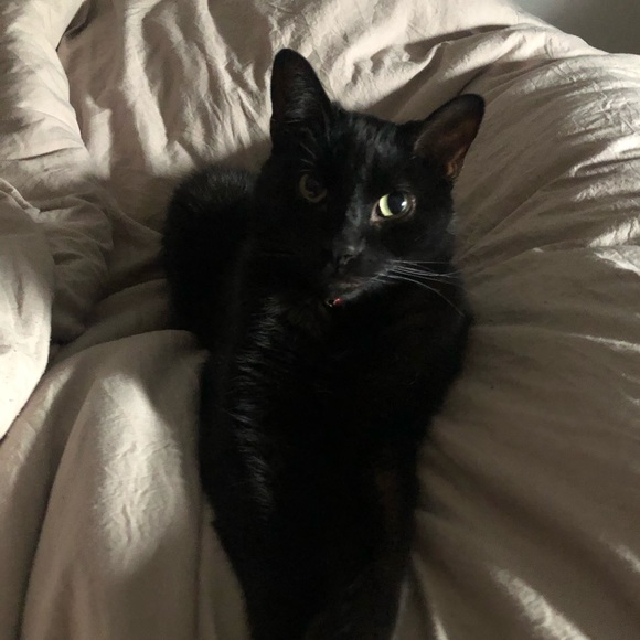 Profile Picture of Anna Ogren (@anna_ogren) on Poshmark