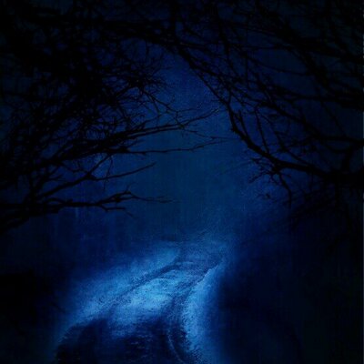 Profile Picture of Haley Hawk (@stay_cloudy200) on Twitter