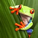 Davide Cioppa - Facebook Profile Picture of Davide Cioppa (@davide.cioppa.7) on Facebook