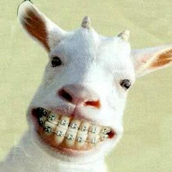 Profile Picture of Amerika Mancillas (@SilviaV58250692) on Twitter