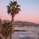 Profile Picture of Brian (@brianw.burke) on Instagram