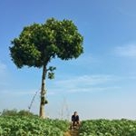 Profile Picture of #NoMadEng (@mike.eng.naftali) on Instagram