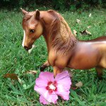 Profile Picture of ✨💕Julia And Erin💕✨ (@mix_it_up_breyers_) on Instagram