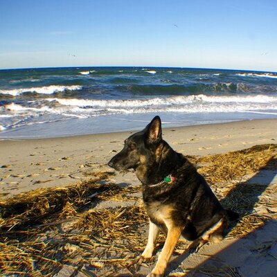 Profile Picture of Jeffrey Hubbell (@hubbontour) on Twitter