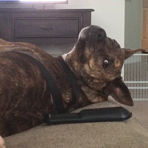 Profile Picture of John Holbrooks (@JohnHolbrooks3) on Twitter