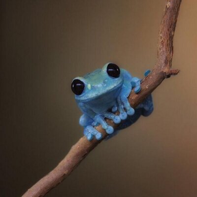 Profile Picture of Neilosullivan (@neilosull) on Twitter