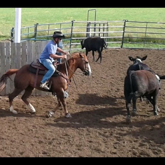 Profile Picture of Michael Brocco (@mbrocco42) on Poshmark