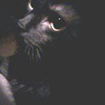 Profile Picture of Dawn Malik (@dawn.malik) on Instagram