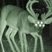 Profile Picture of Jacob Wilcock (@jacobwilcock7965) on Youtube